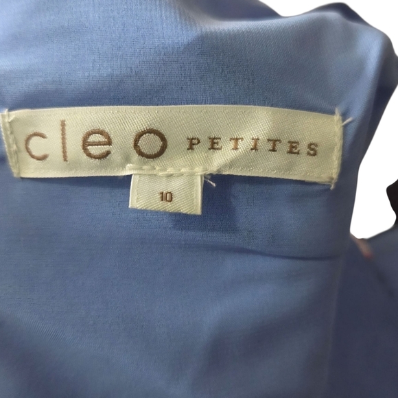 ⭐️Cleo Floral Blue Sleeveless Dress Size 10 - Picture 5 of 5